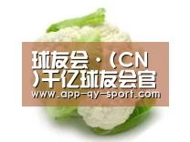 产品名称九