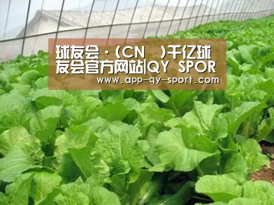 种植基地一