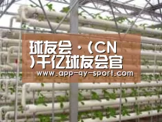 环境展示六